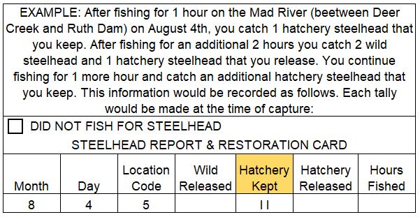 Example of the information on your Steelhed Report Card that should be filled in while you are fishing